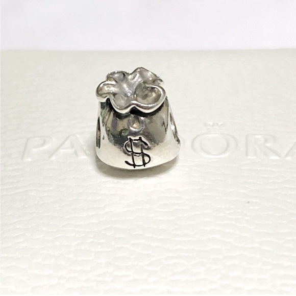 Pandora Original Sterling 925 Bracelet, 7 1/2” and 21 additional Sterling Pieces - Picture 8 of 14